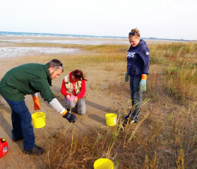 Community working at water front