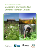 Landowners Guide for Controlling and Managing Invasive Plants in Ontario