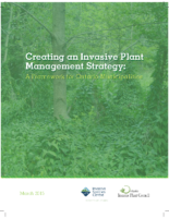 Creating an Invasive Plant Management Strategy: A Framework for Ontario Municipalities