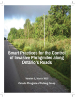 Smart practices for the control of Invasive Phragmites along roads