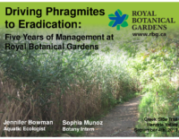 RoyalBotanicalGardensDrivingPhragToEradication_JBowman_SMunoz