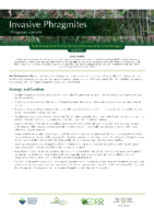 Phragmites Technical Bulletin 2021